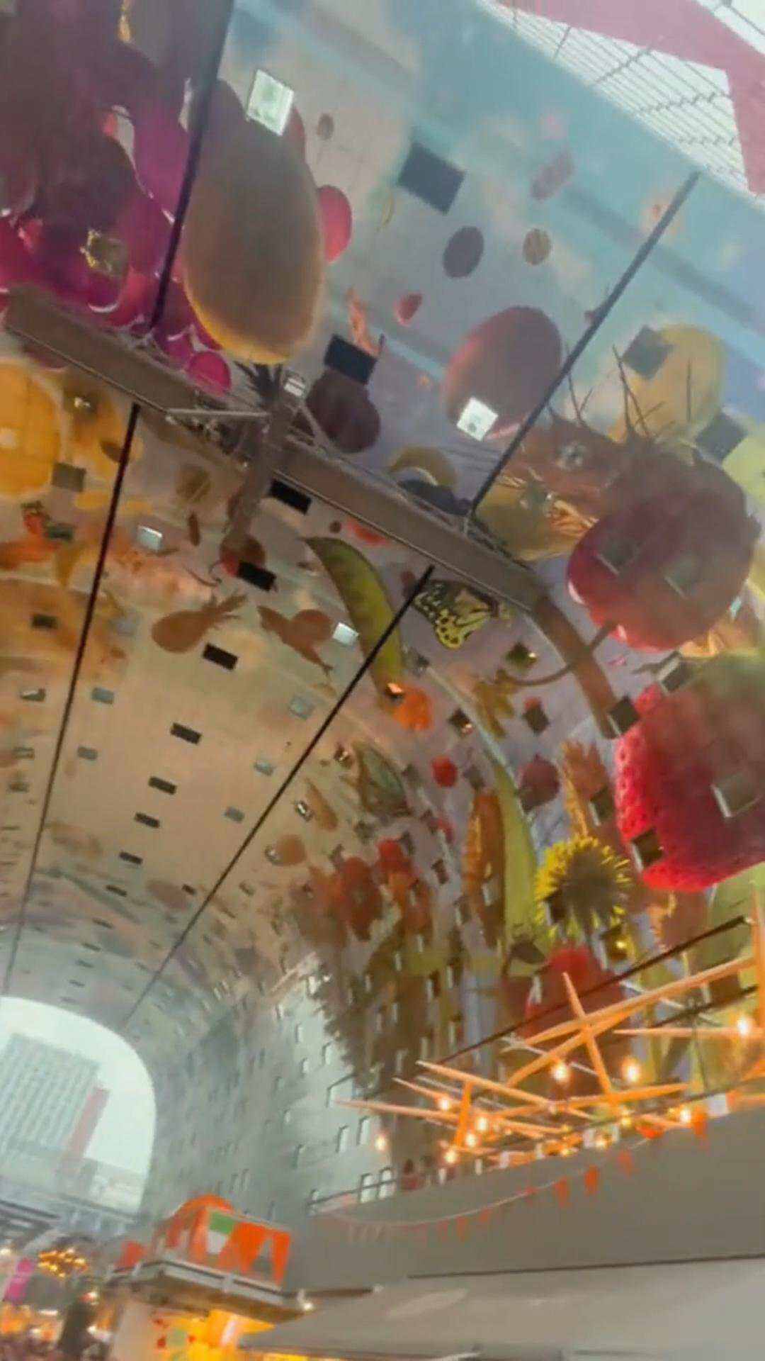 上海大馳探訪工業(yè)建筑設(shè)計與市井文化融合的范本：鹿特丹Markthal