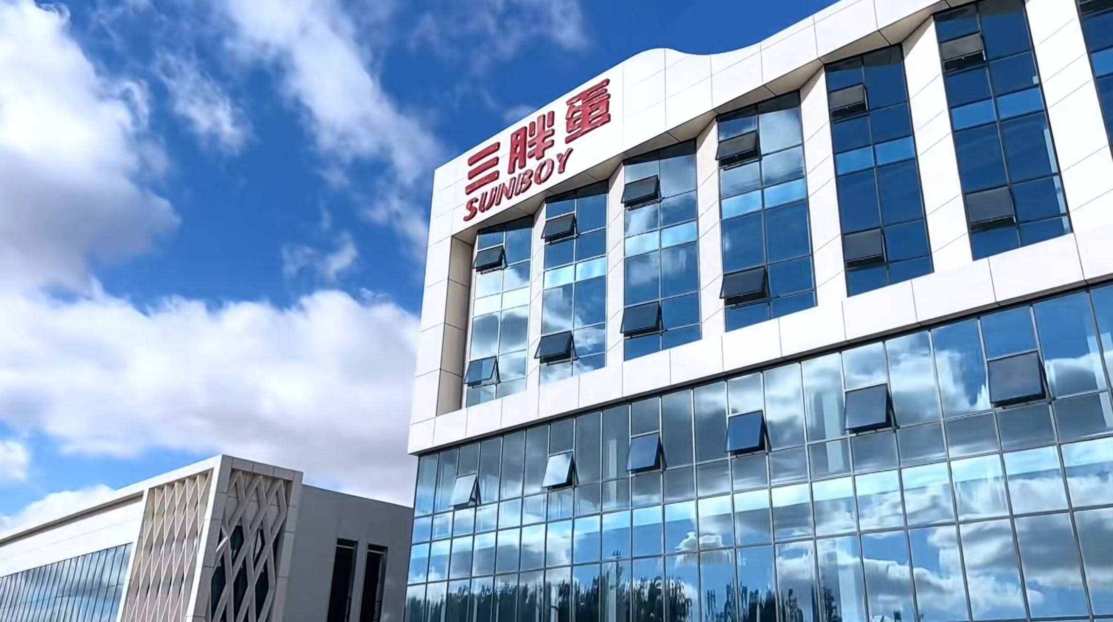 內(nèi)蒙古三胖蛋瓜子生產(chǎn)工廠