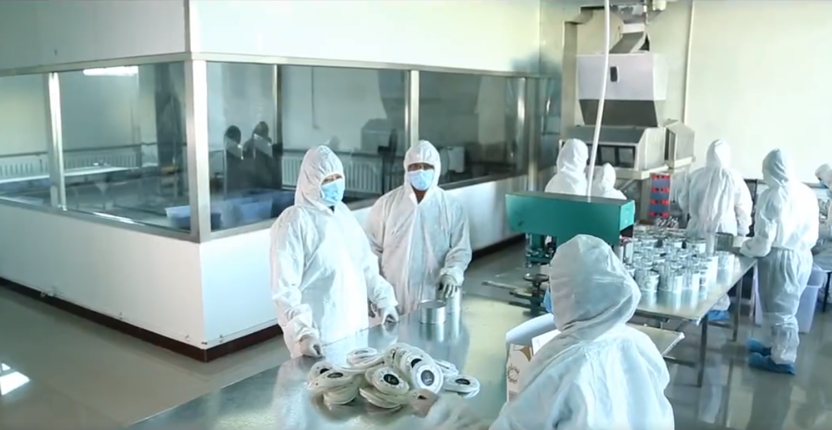 內(nèi)蒙古三胖蛋瓜子生產(chǎn)工廠